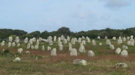 carnac sainte anne dauray 3